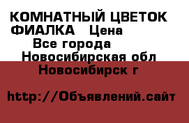 КОМНАТНЫЙ ЦВЕТОК -ФИАЛКА › Цена ­ 1 500 - Все города  »    . Новосибирская обл.,Новосибирск г.